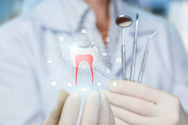 Best Full Mouth Reconstruction  in Donaldsonville, LA